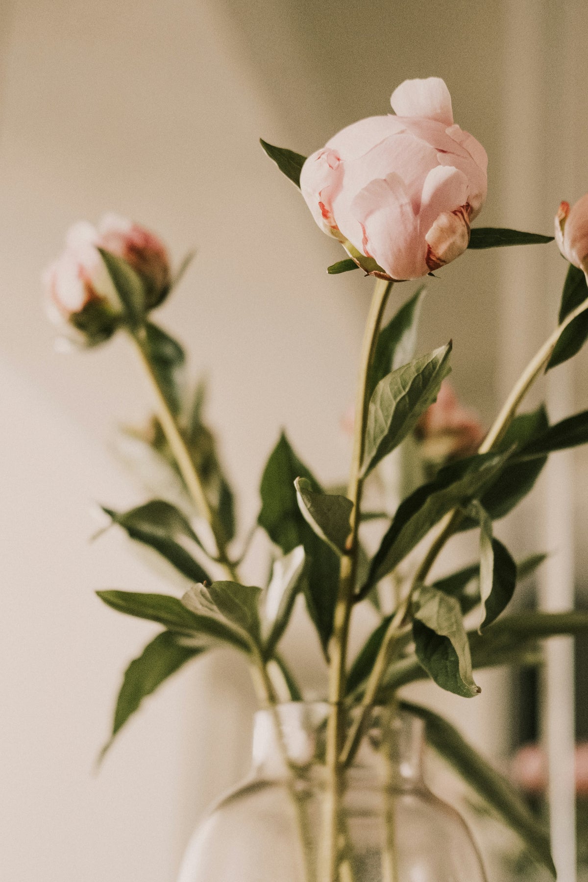 Fresh Flower Bud Vase Collection