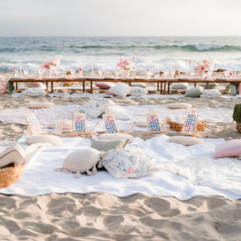 Corporate Picnic Experience
