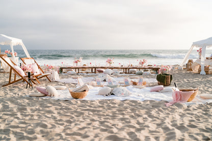 Corporate Picnic Experience