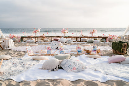 Corporate Picnic Experience