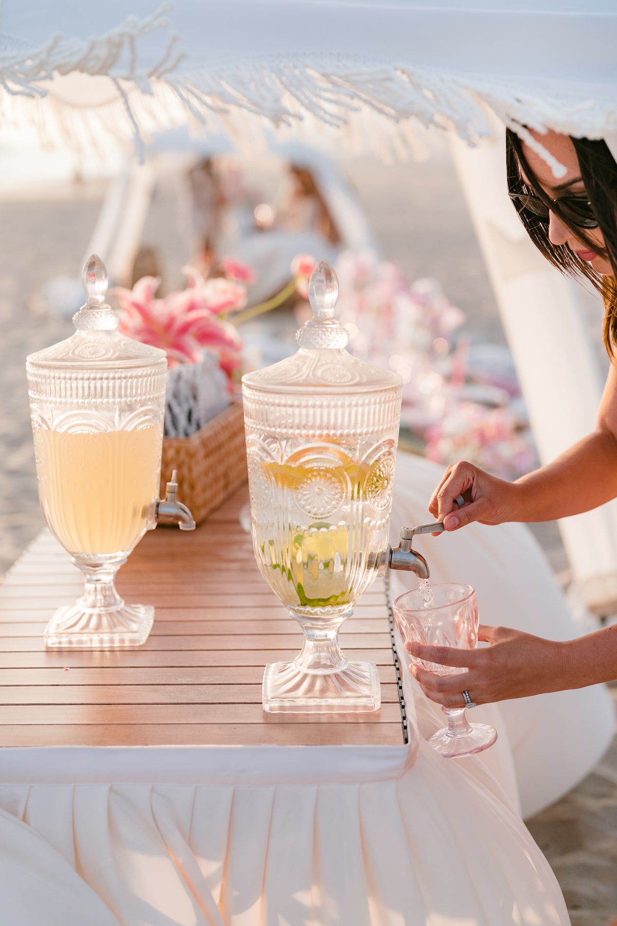 Corporate Picnic Experience
