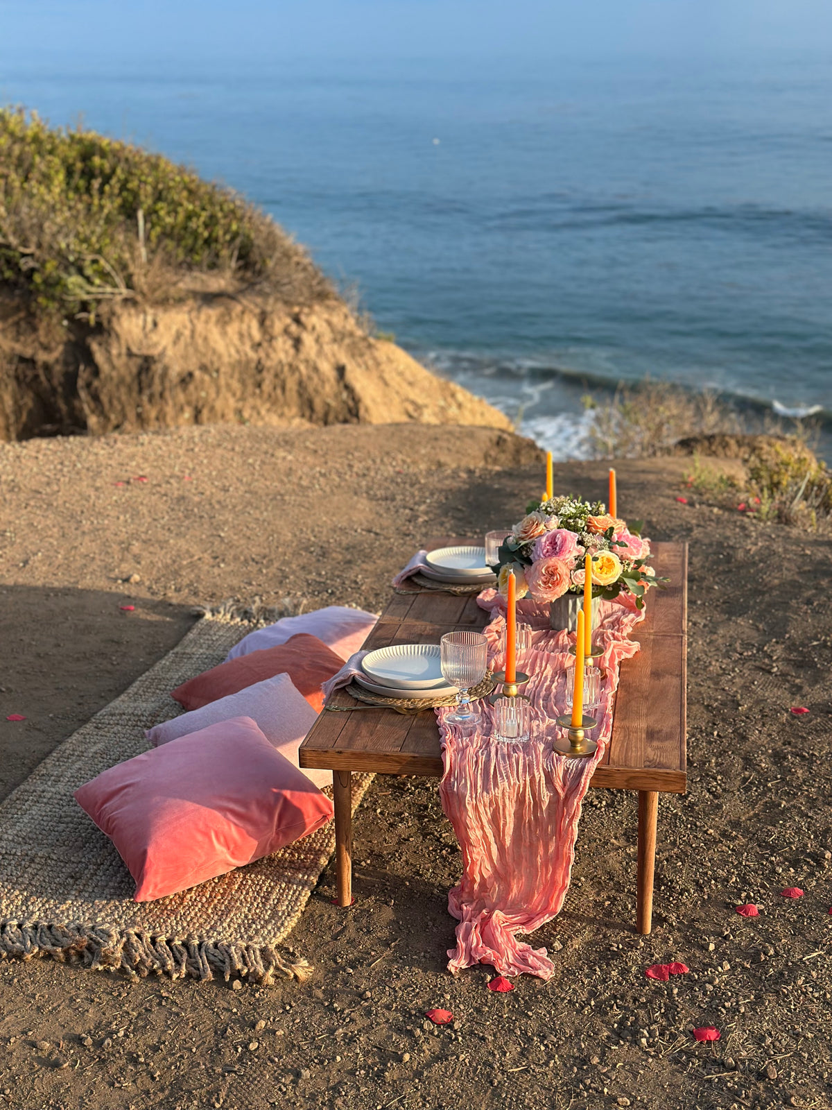 Luxury Picnic