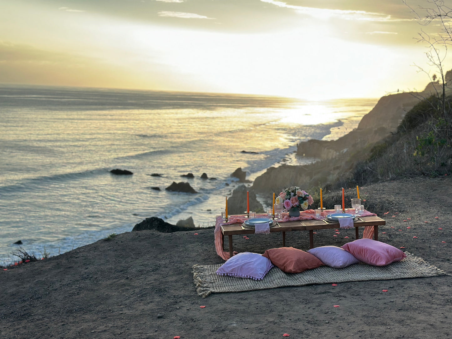 Luxury Picnic