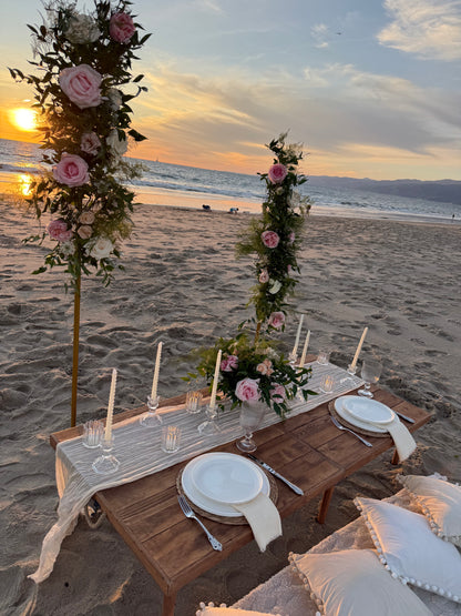 Luxury Picnic