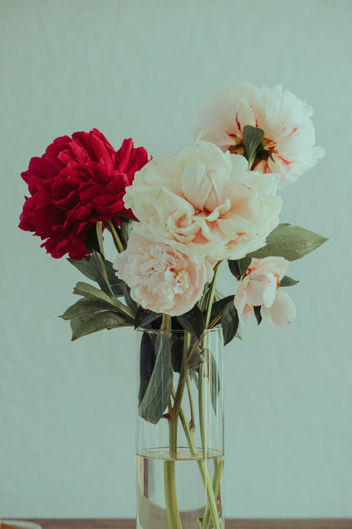 Fresh Flower Bud Vase Collection