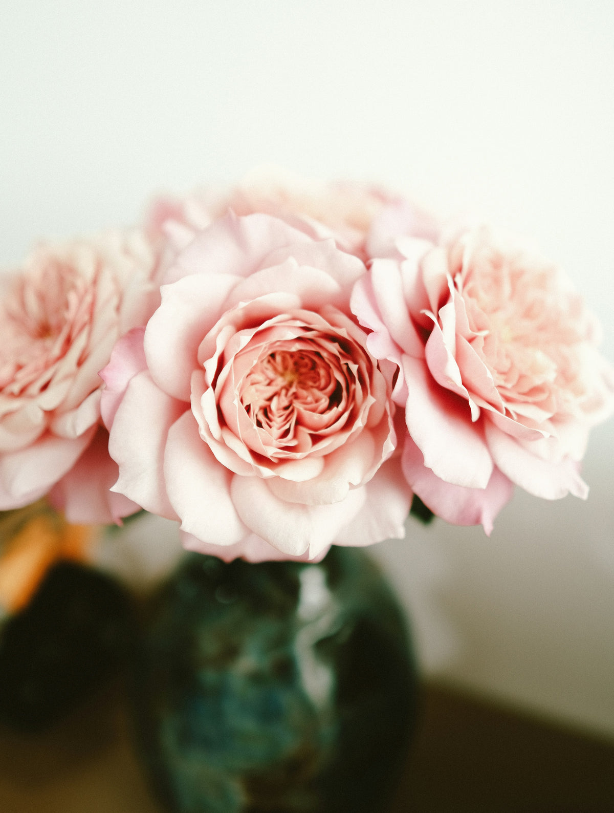 Fresh Flower Bud Vase Collection