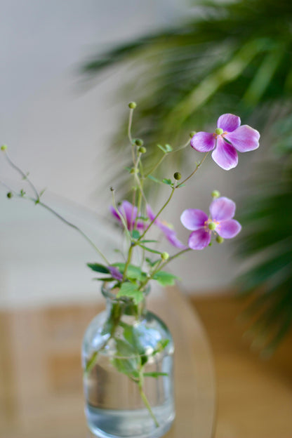 Fresh Flower Bud Vase Collection