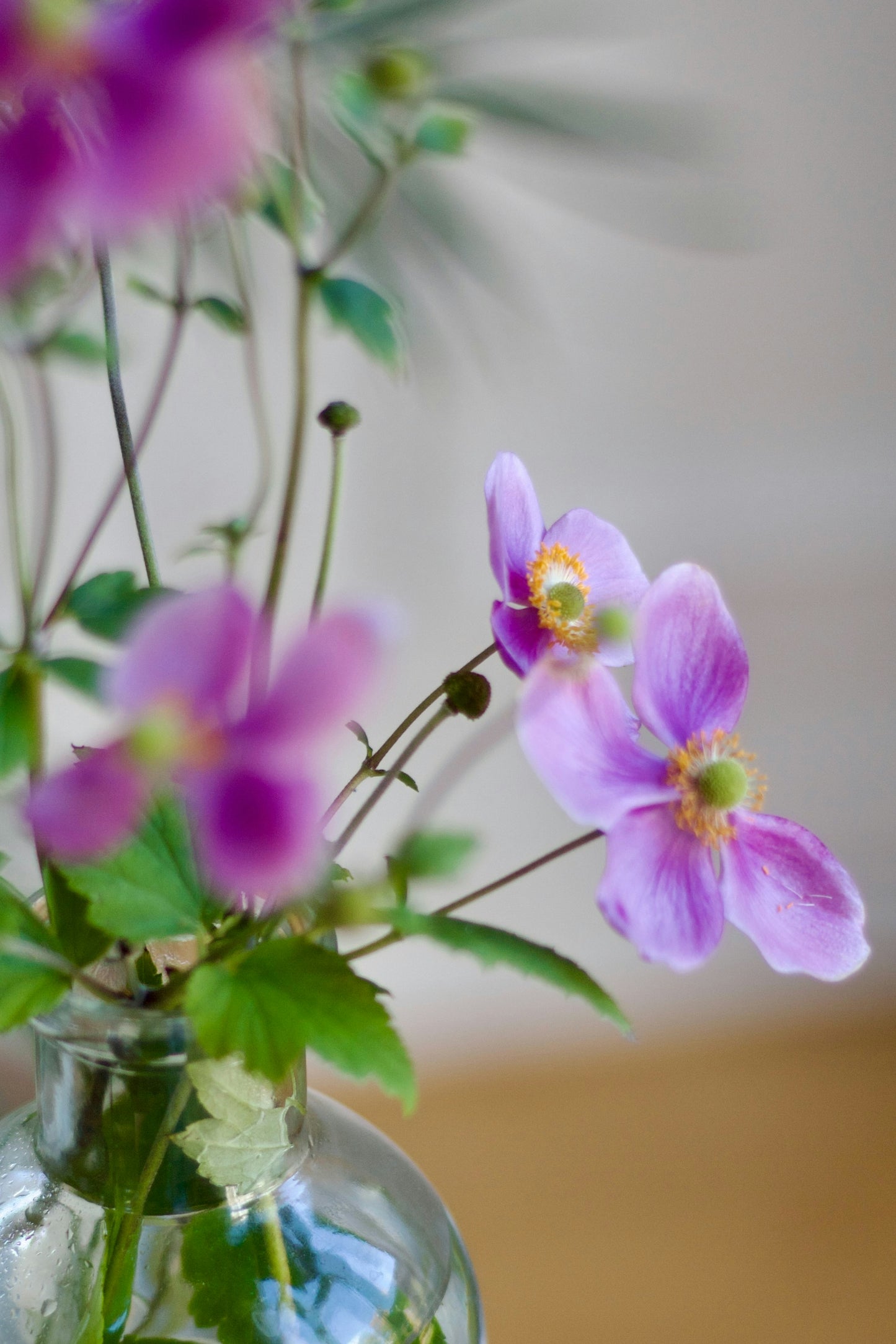 Fresh Flower Bud Vase Collection