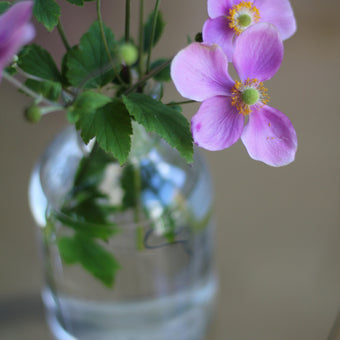 Fresh Flower Bud Vase Collection