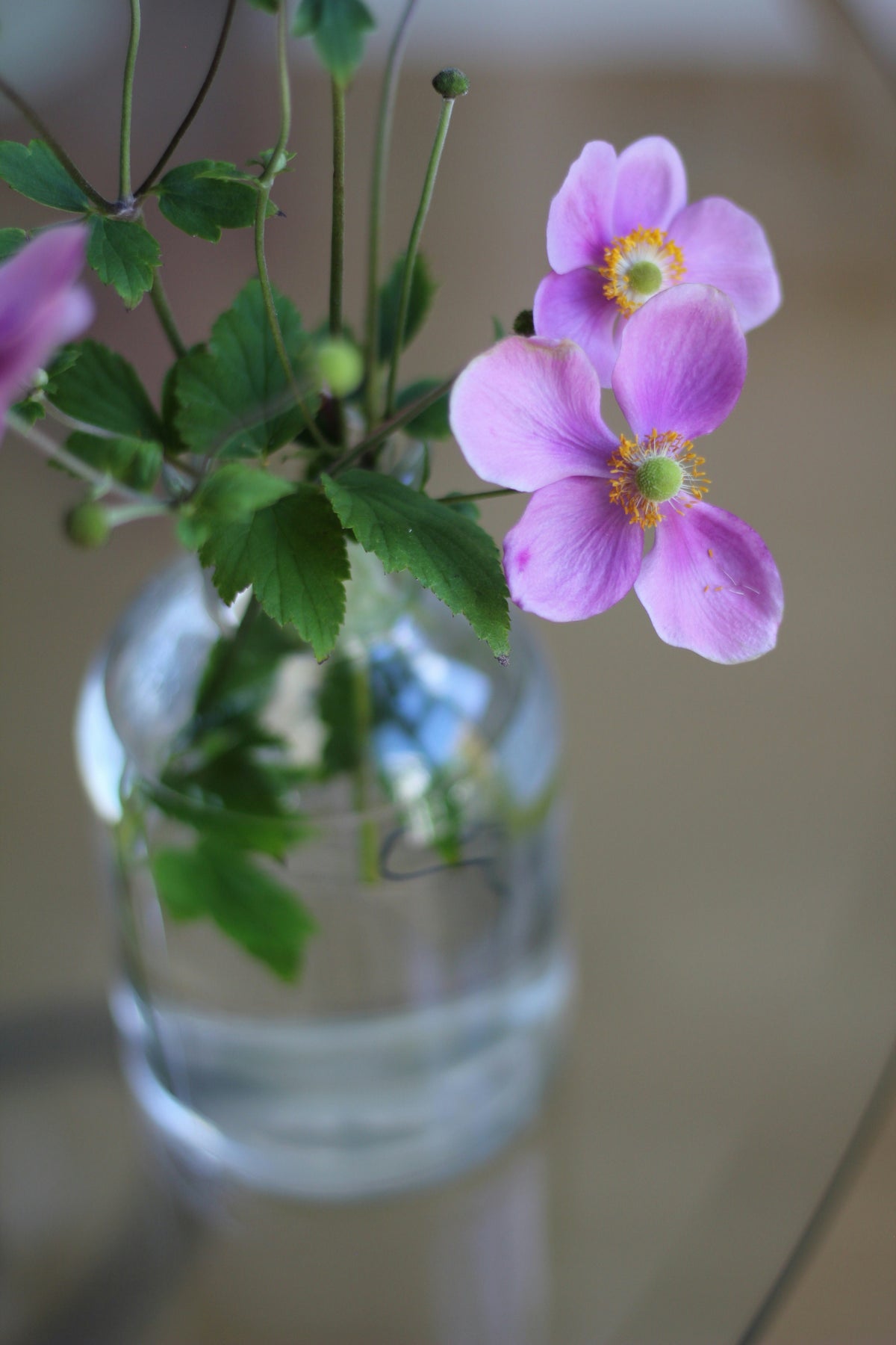Fresh Flower Bud Vase Collection