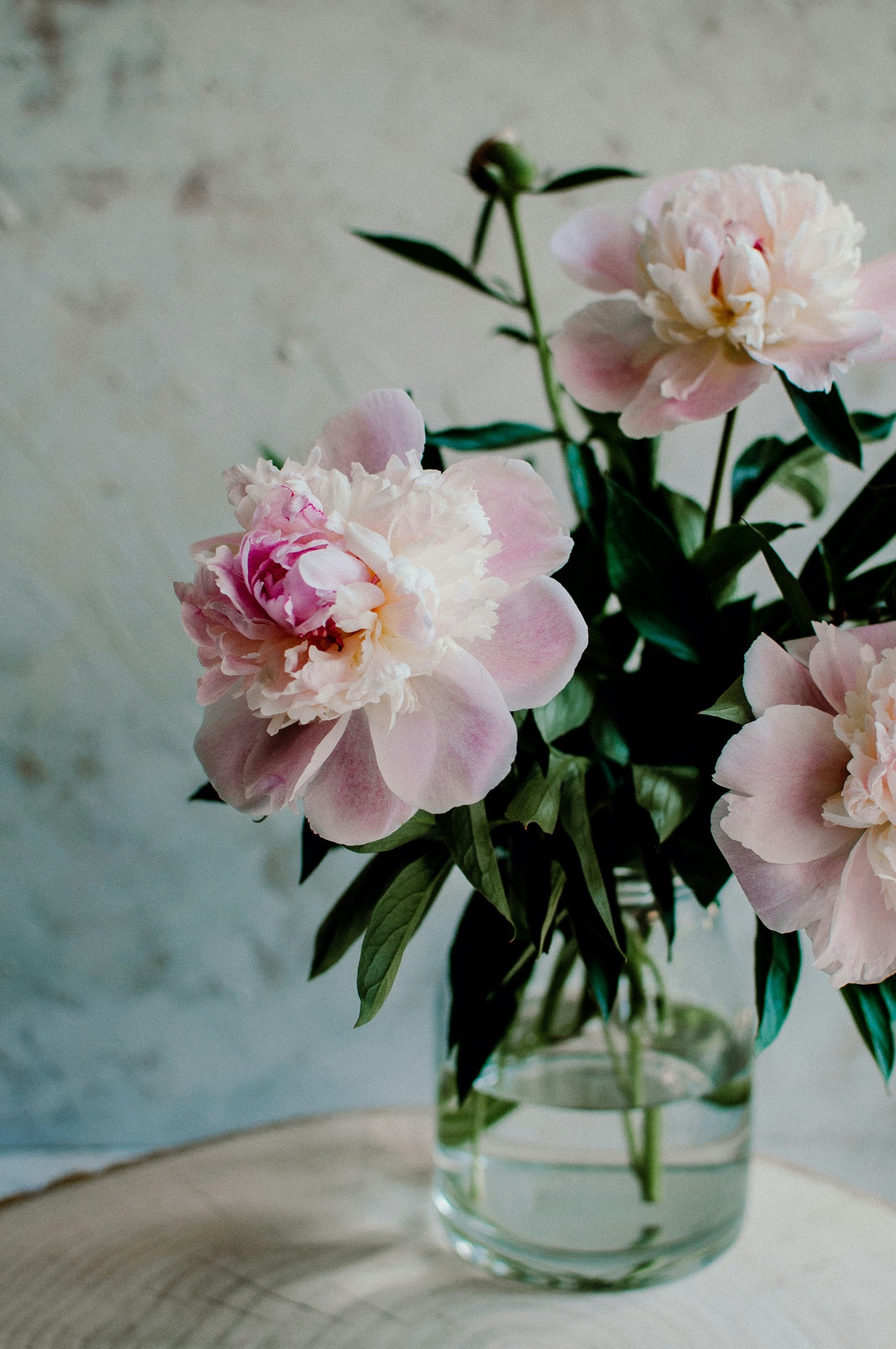 Fresh Flower Bud Vase Collection