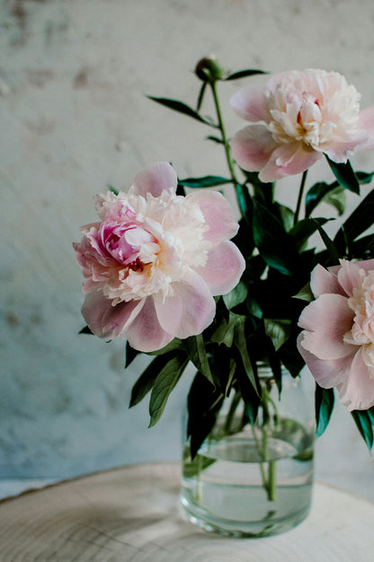 Fresh Flower Bud Vase Collection
