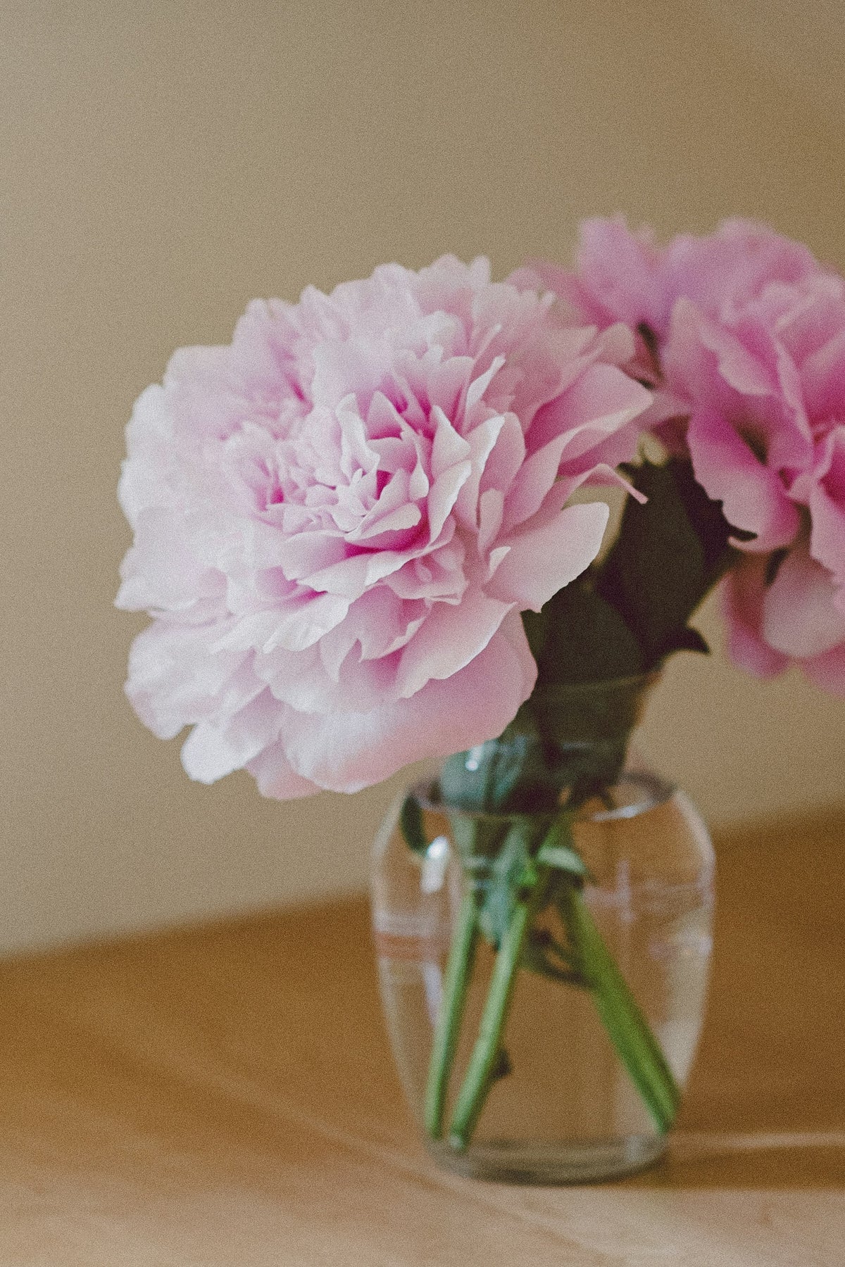 Fresh Flower Bud Vase Collection