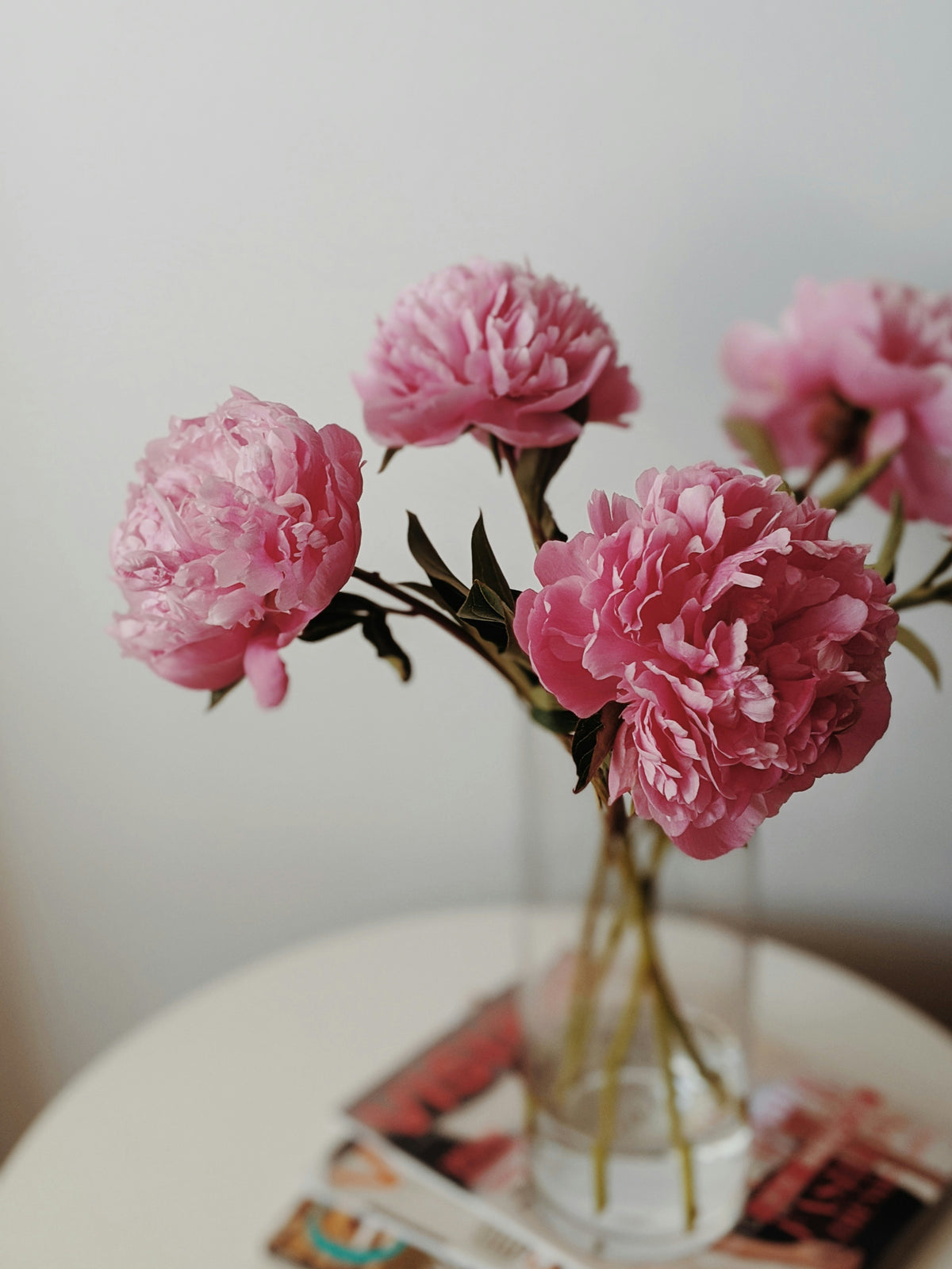 Fresh Flower Bud Vase Collection